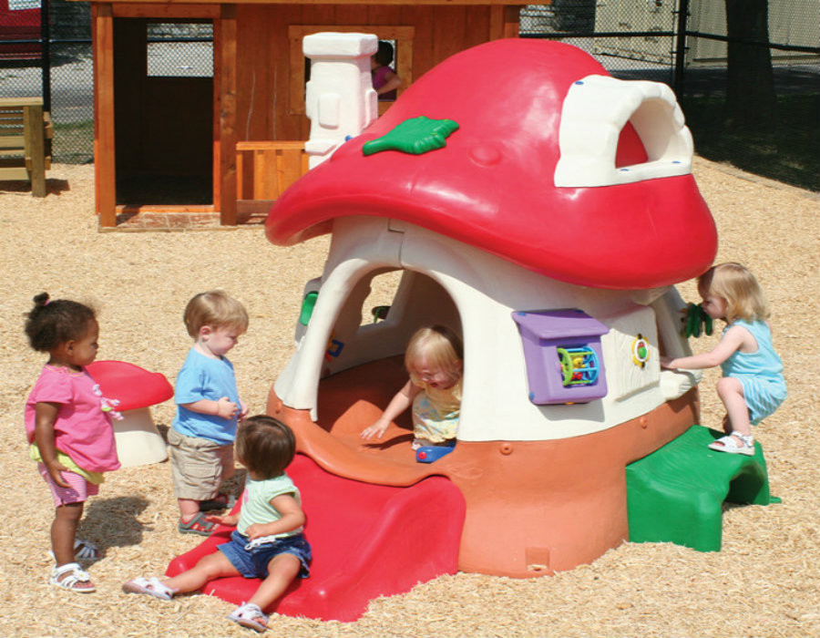 Mushroom Kottage thumbnail 8