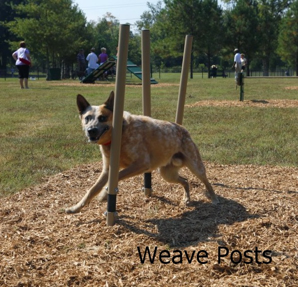 BarkPark™ Weave Posts thumbnail 1
