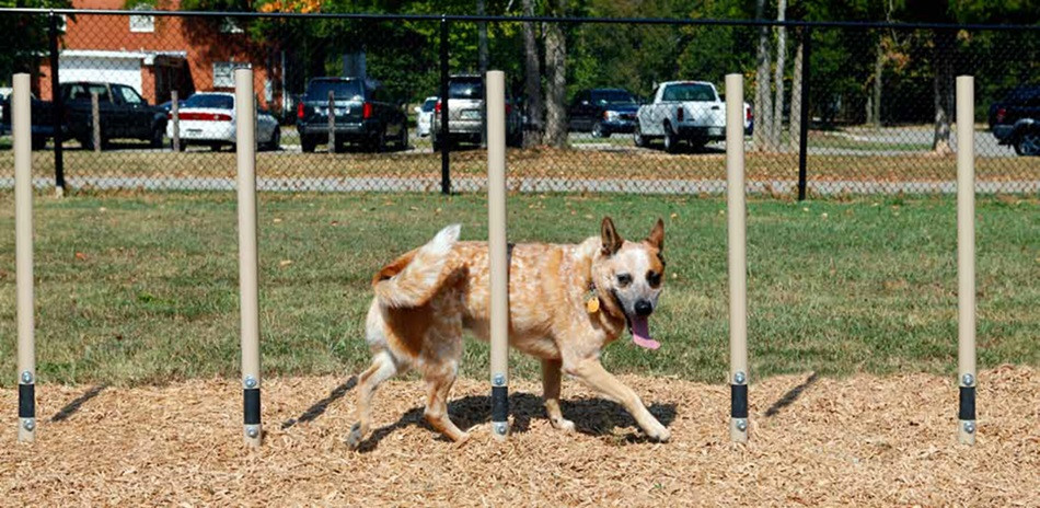 BarkPark™ Weave Posts thumbnail 2