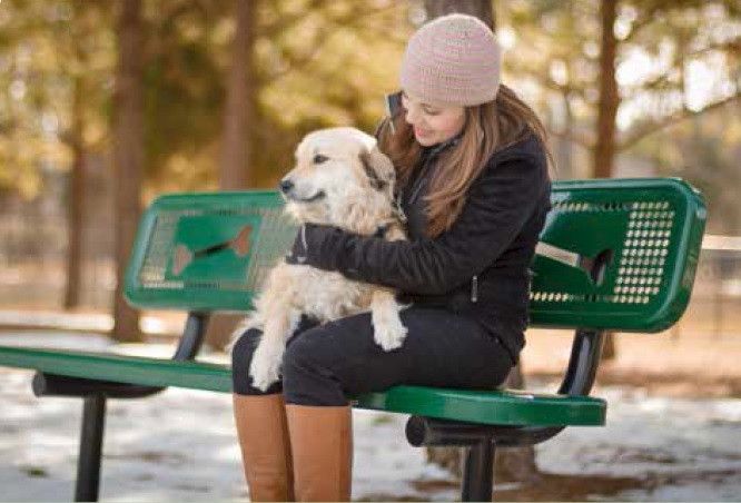 BarkPark™ Sit and Stay Bench thumbnail 5