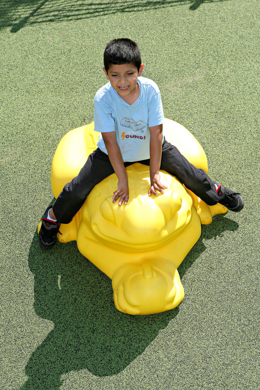 Frog Sculpture Climber thumbnail 2