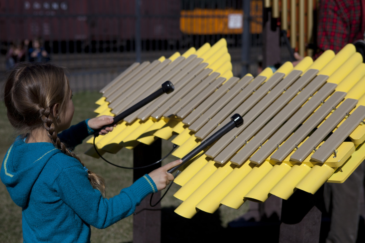 Imbarimba Outdoor Instrument thumbnail 10