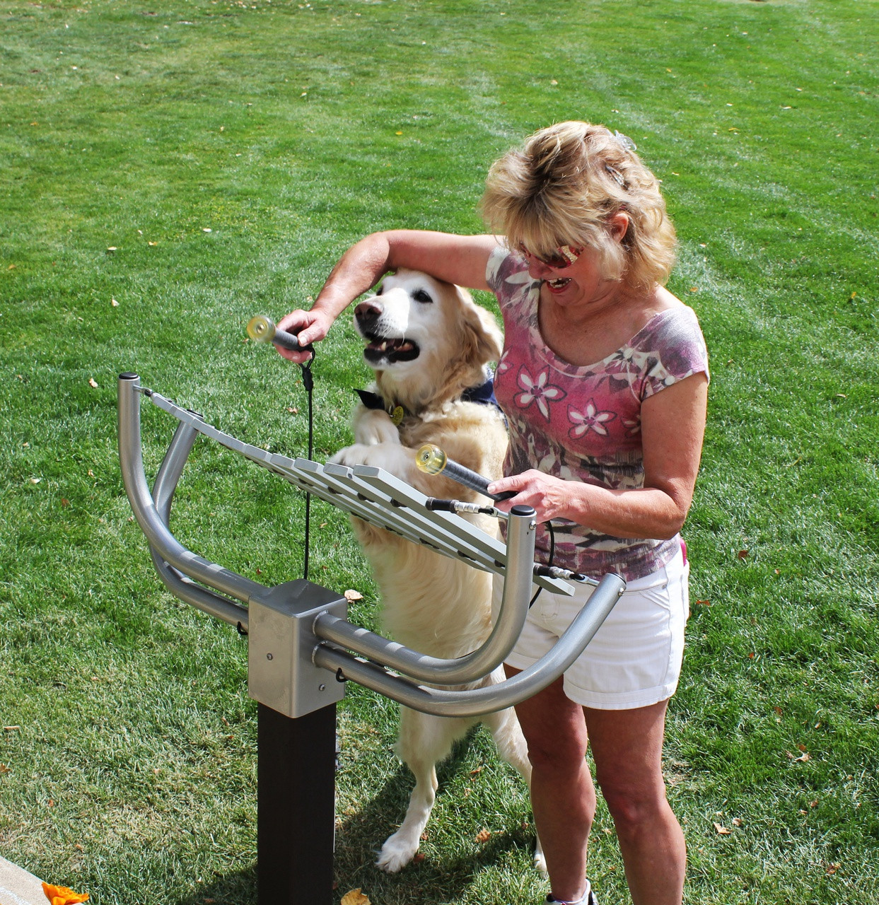 Aria Outdoor Instrument thumbnail 3