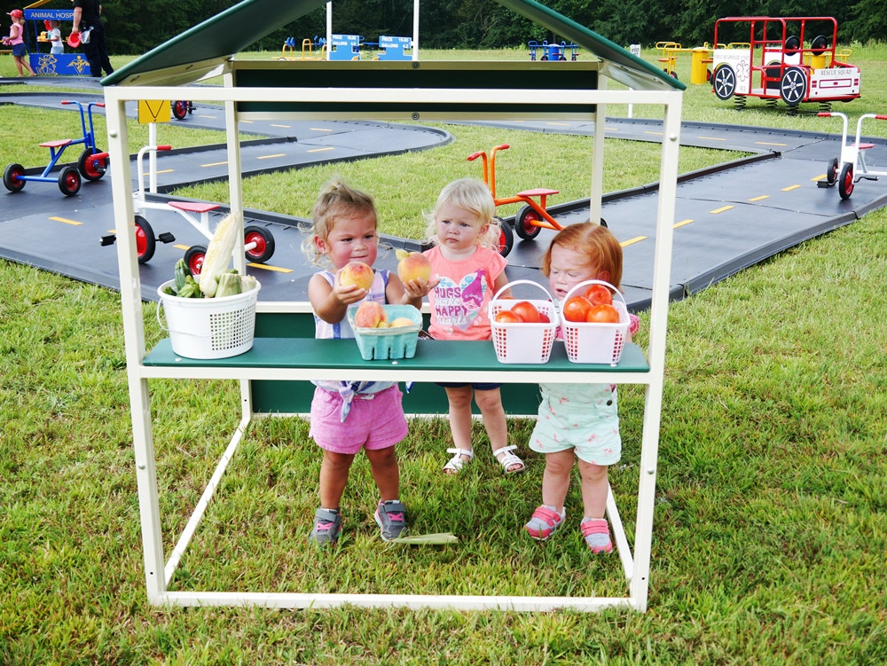 Farmers Market Playhouse thumbnail 3