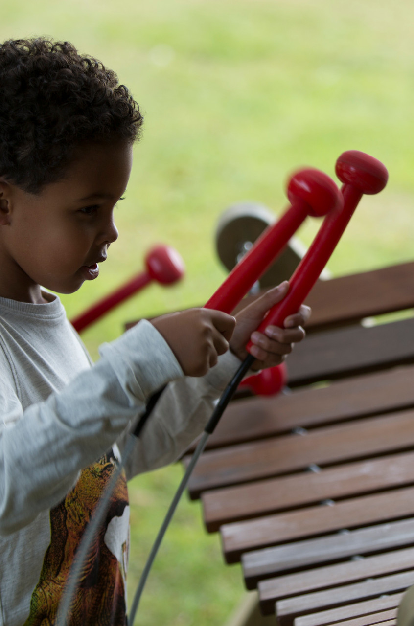 Akadinda Outdoor Instrument thumbnail 6