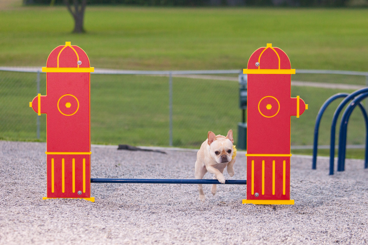 Bronze  Dog Park Agility Package thumbnail 2