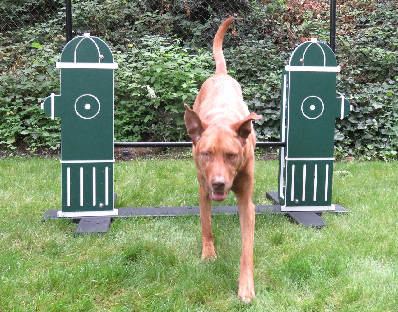 Bronze  Dog Park Agility Package thumbnail 7