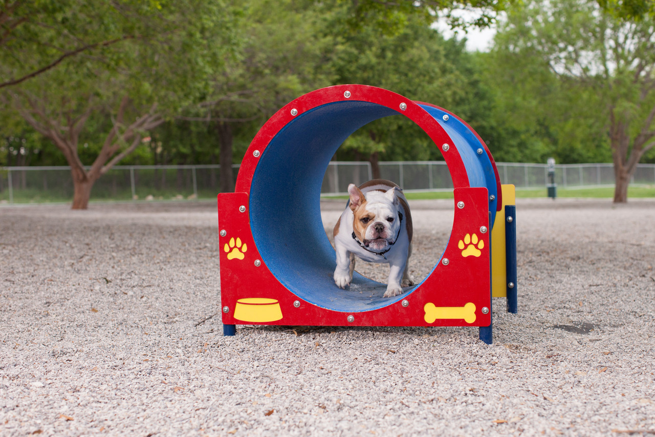 Gold Dog Park Agility Package thumbnail 3