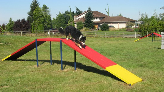 Gold Dog Park Agility Package thumbnail 11
