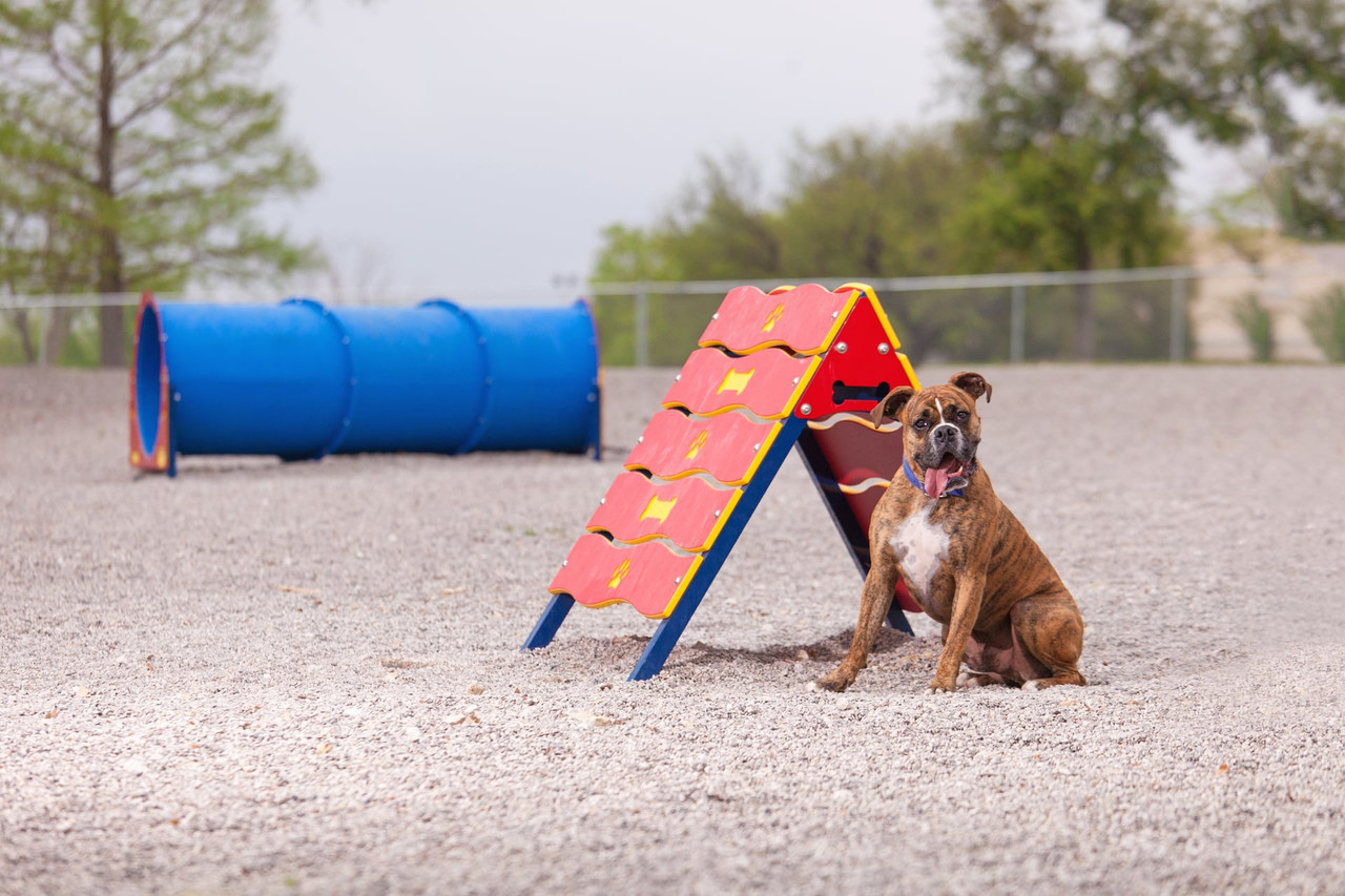 Canine Courtyard™ Dog Park Essentials Kit thumbnail 7