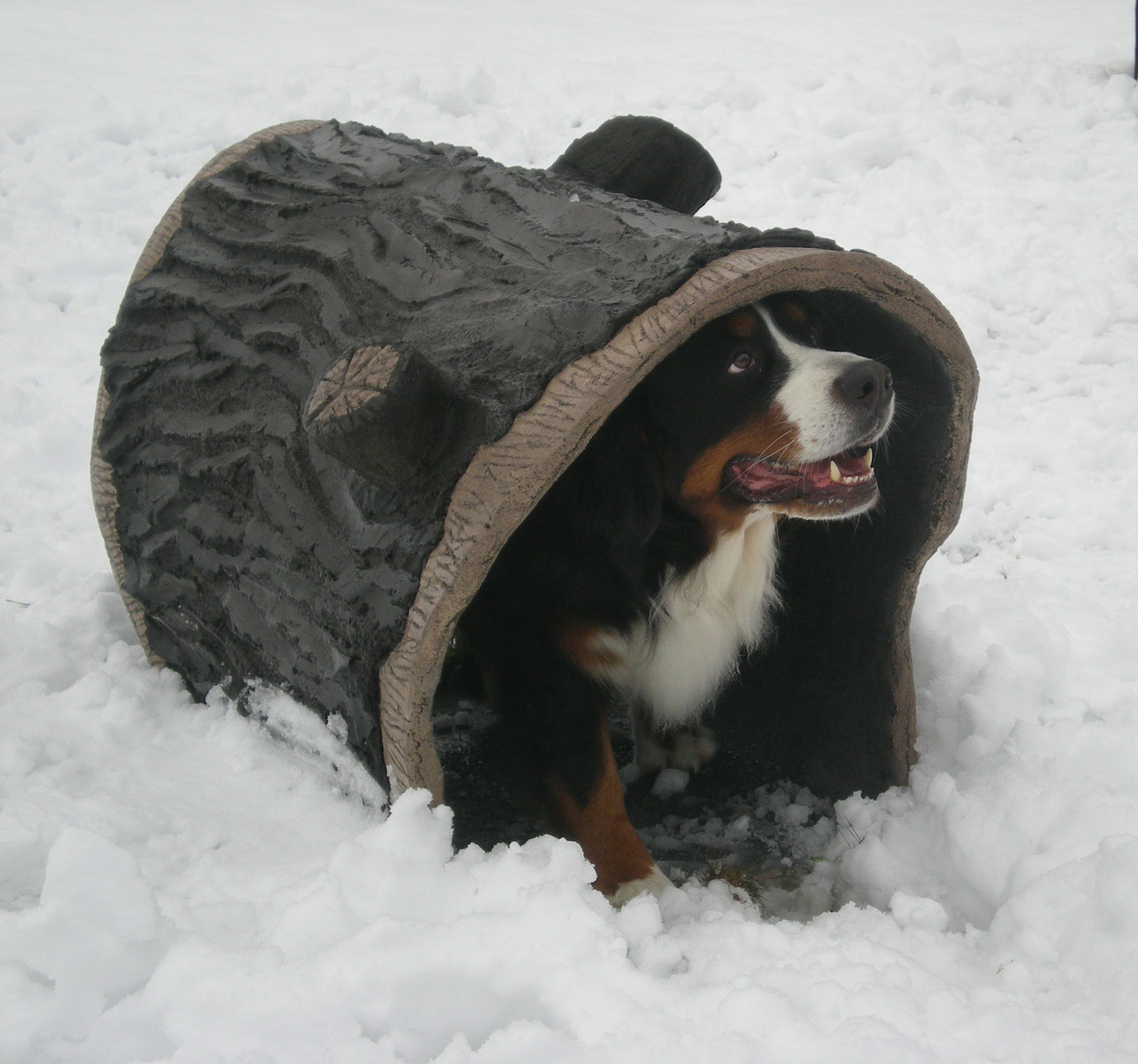 NatureDog™ Dog Park System thumbnail 4