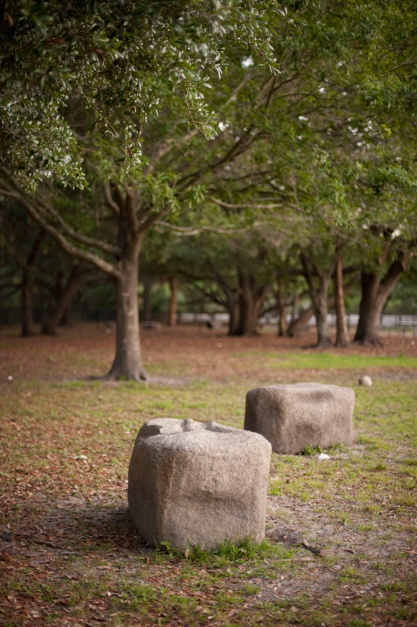 NatureDog™ Dog Park System thumbnail 9