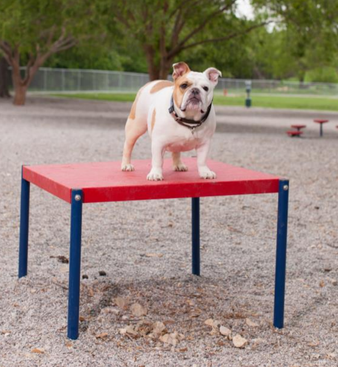 Canine Courtyard™ Deluxe Kit thumbnail 11