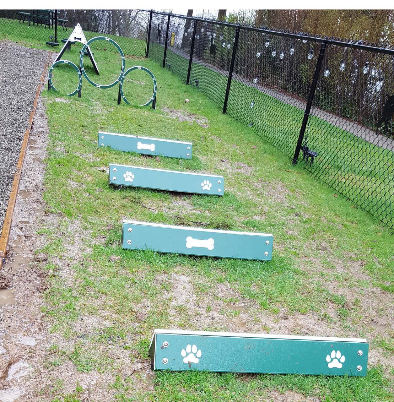 Hound Hurdles Set of 4 thumbnail 1