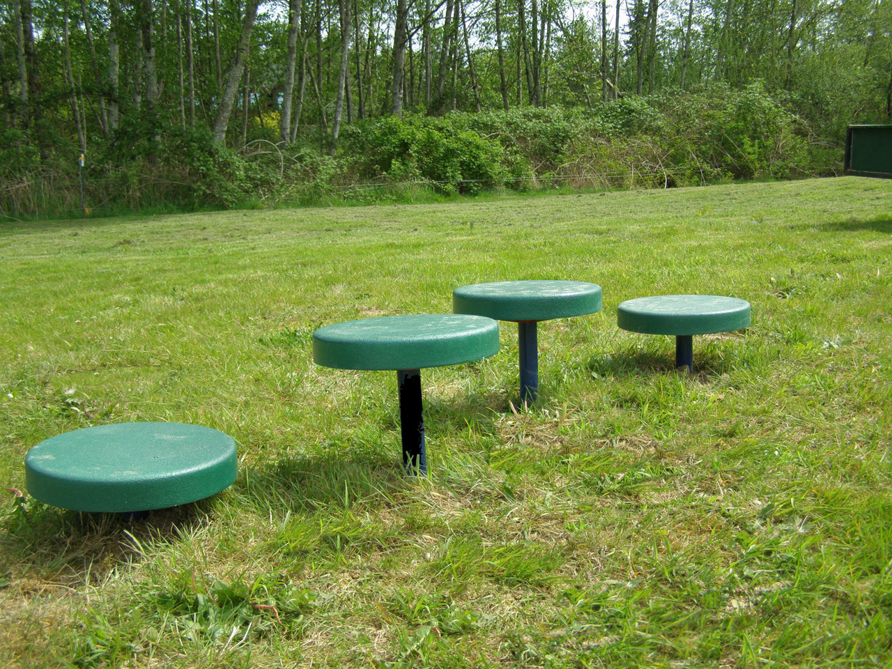 Dog Park Dalmatian Climbing Discs - Set of 4 thumbnail 1