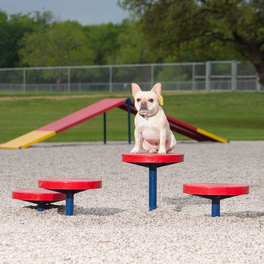 Dog Park Dalmatian Climbing Discs - Set of 4 thumbnail 4
