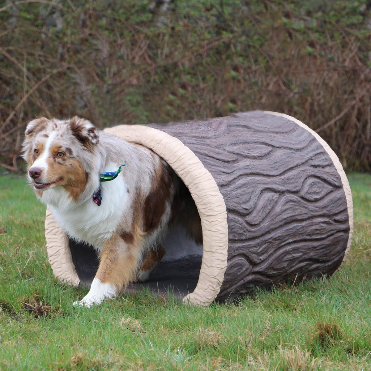 Terrier Tunnel thumbnail 5