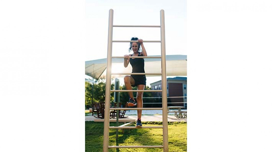 Vertical Fitness Ladder thumbnail 1