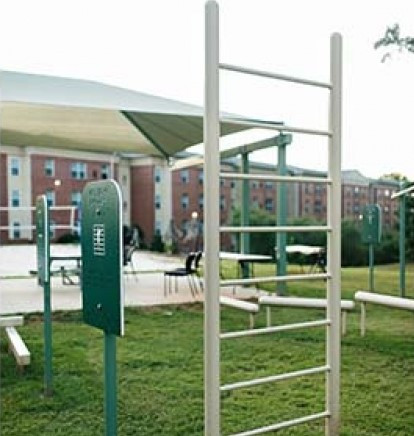 Vertical Fitness Ladder thumbnail 3