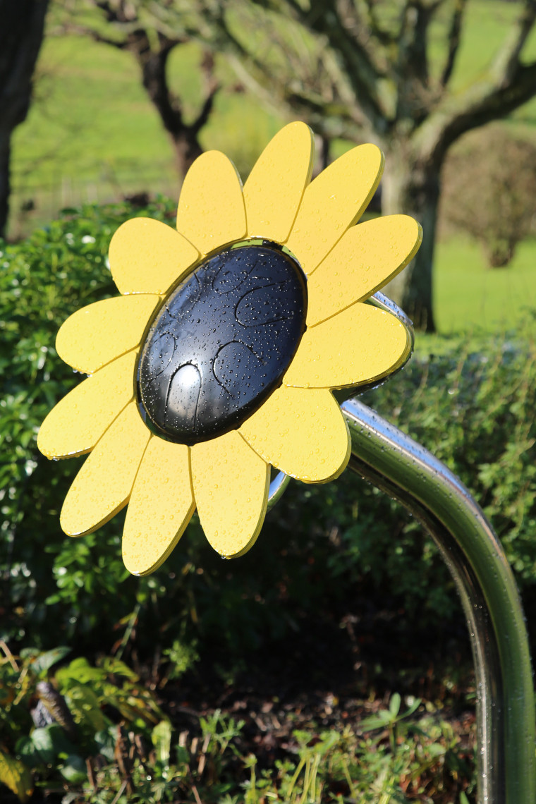 Sunflower Petal Drum thumbnail 2