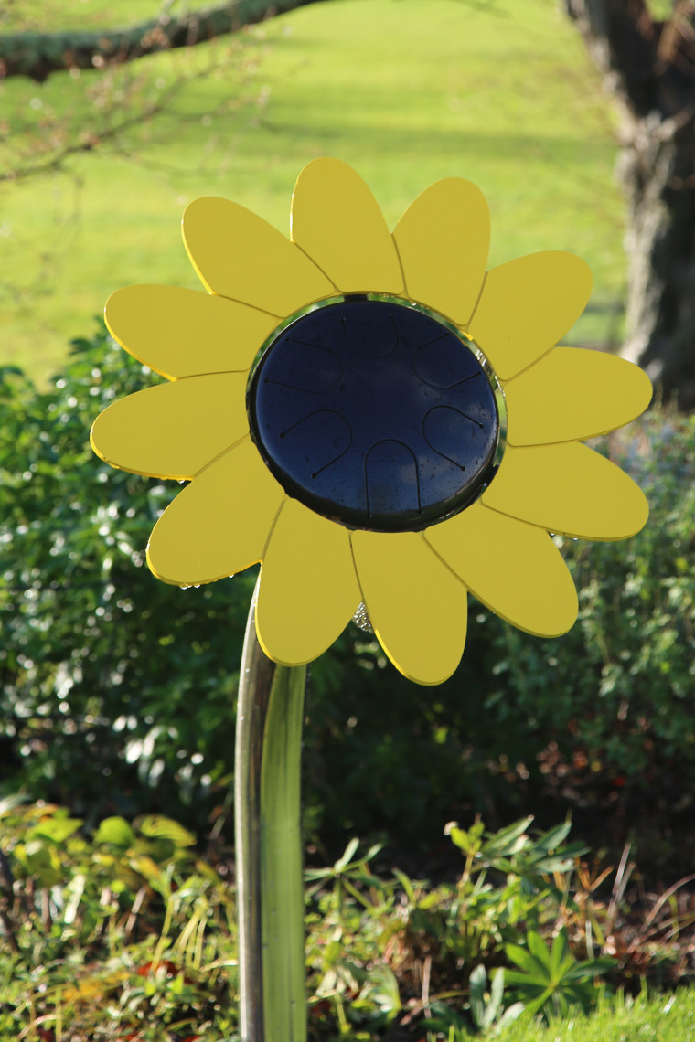 Sunflower Petal Drum thumbnail 6