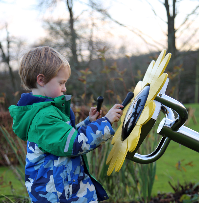 Sunflower Petal Drum thumbnail 7